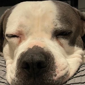 Meet your Posher, Belinda